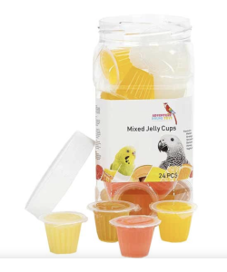 Adventure Bound Parrot  Jelly Cups Jar 24 Pack